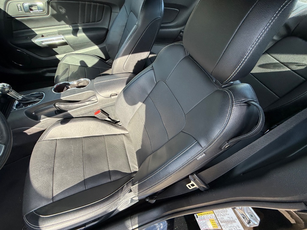 2015 Ford Mustang ECO Premium photo