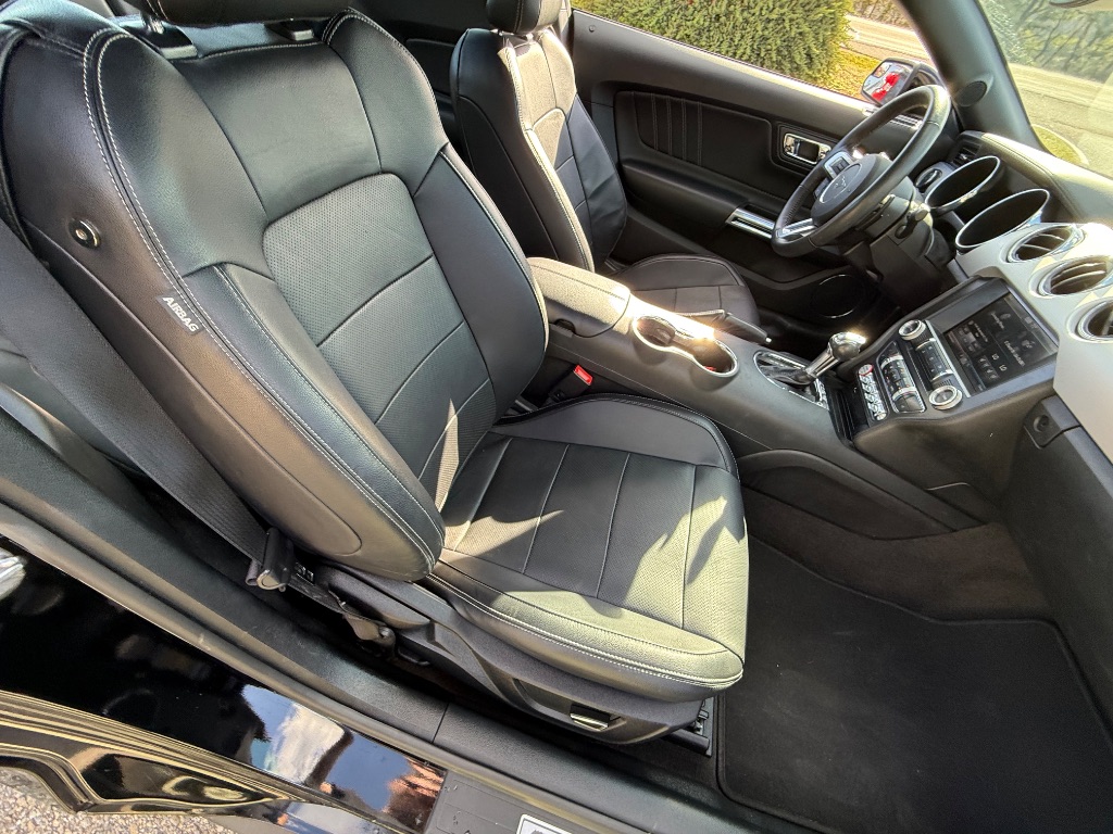 2015 Ford Mustang ECO Premium photo