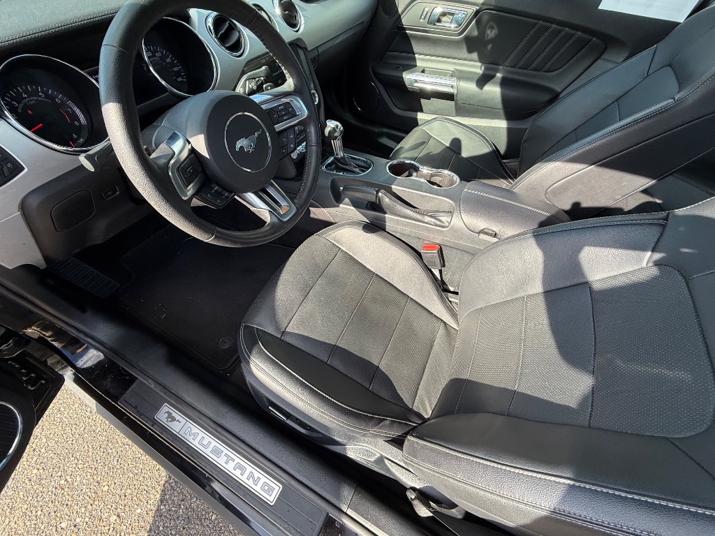2015 Ford Mustang ECO Premium photo