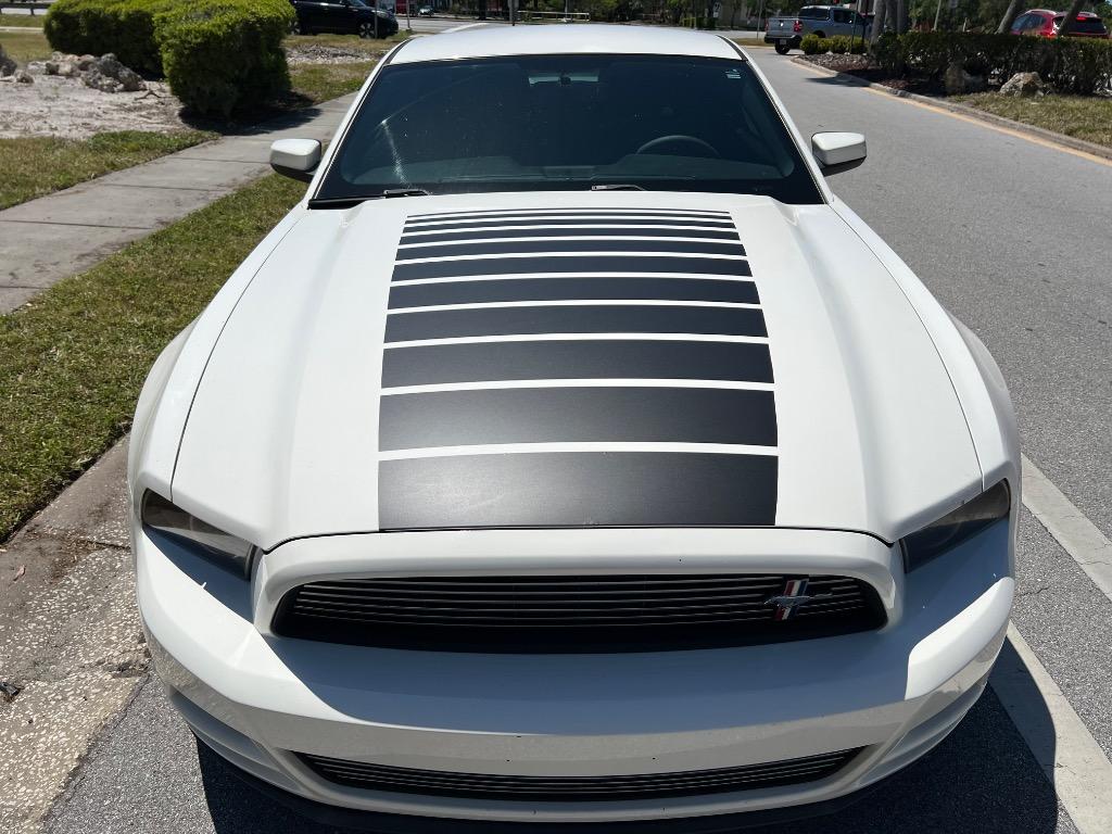 2013 Ford Mustang V6 photo
