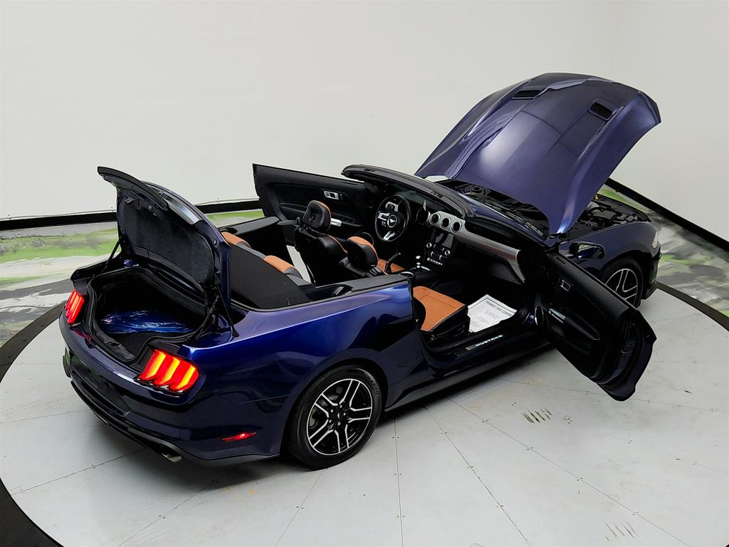 2020 Ford Mustang ECO Premium photo