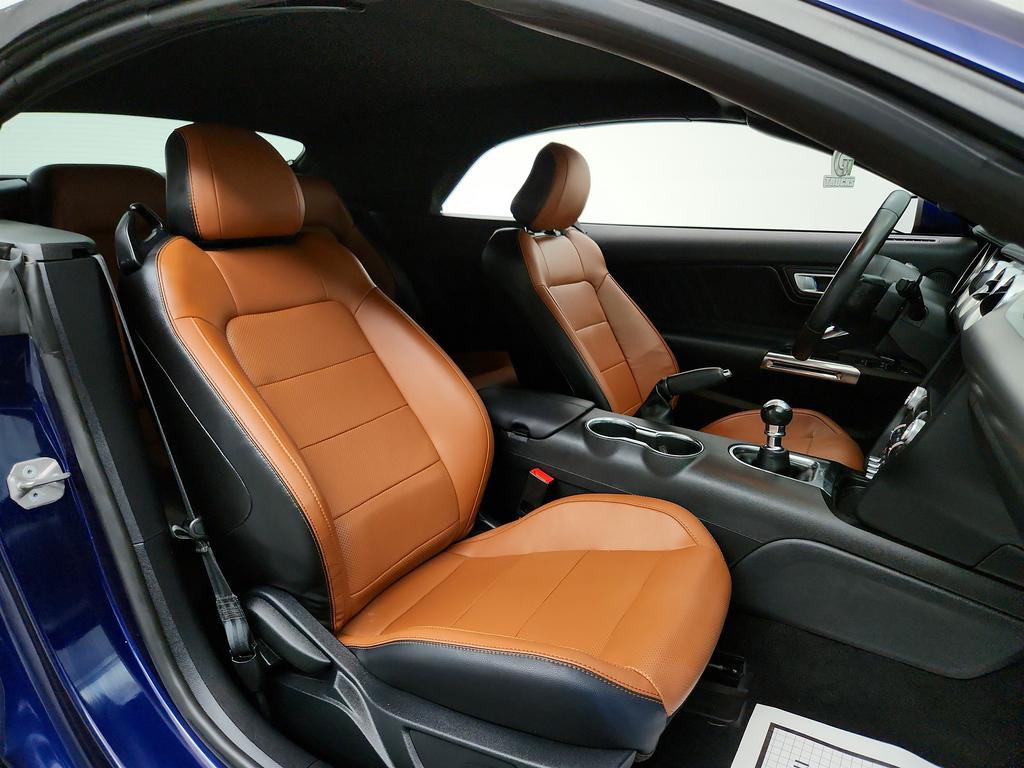 2020 Ford Mustang ECO Premium photo