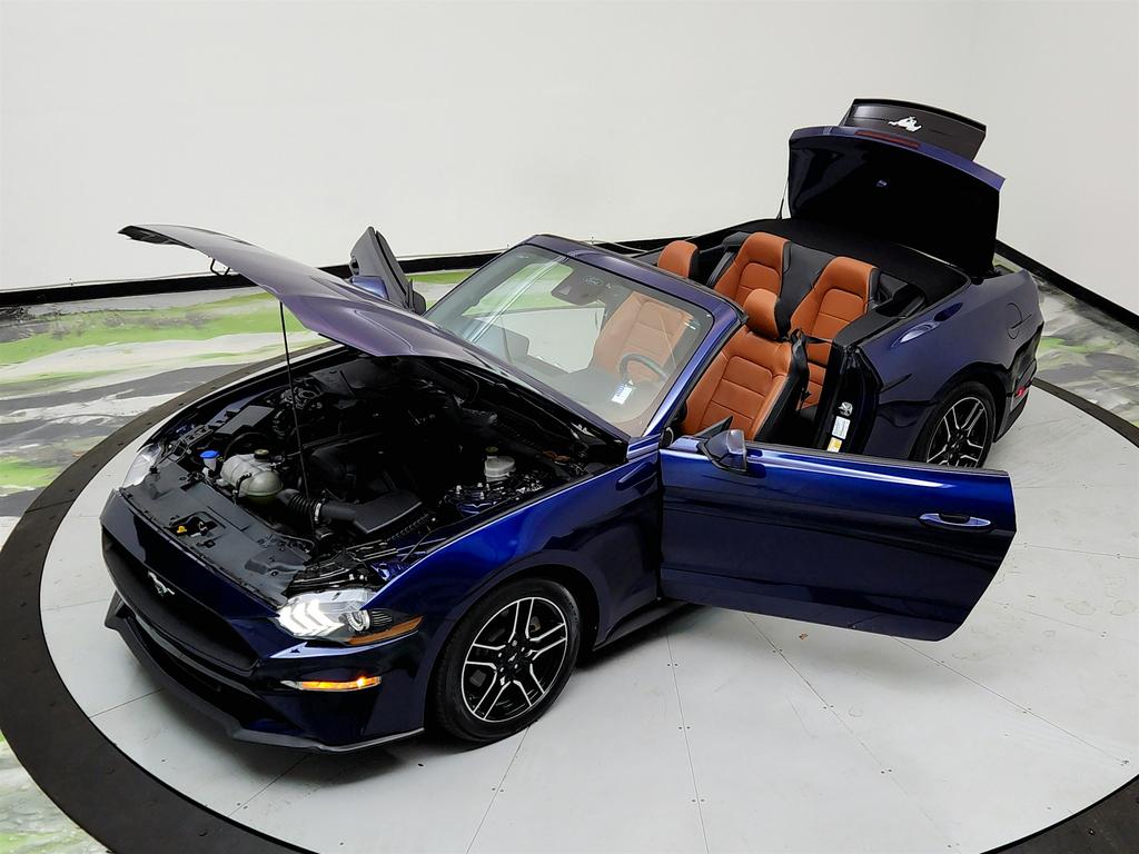 2020 Ford Mustang ECO Premium photo