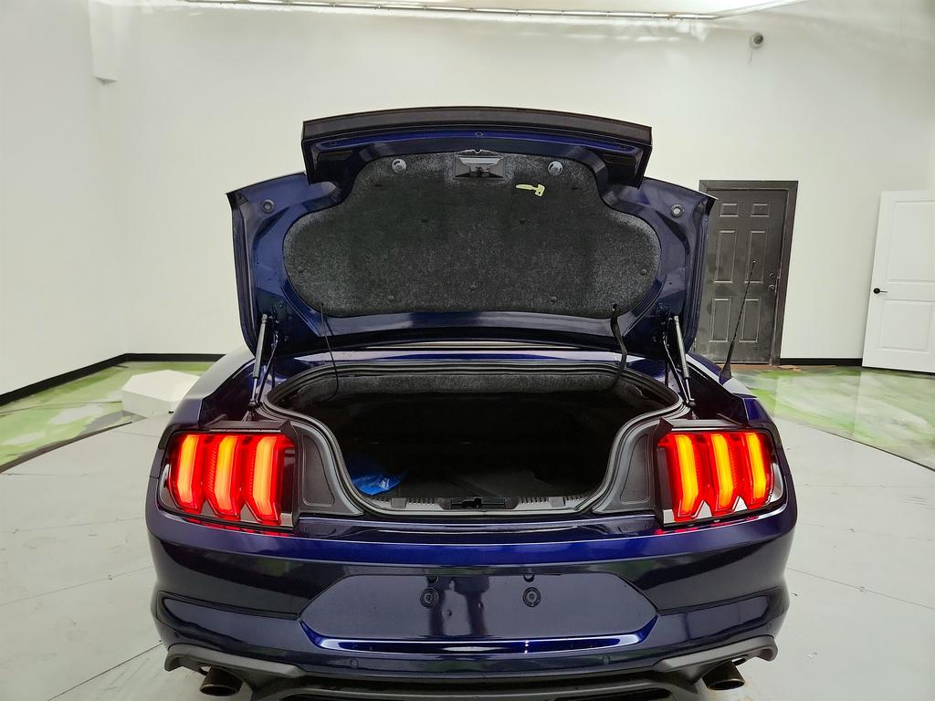 2020 Ford Mustang ECO Premium photo