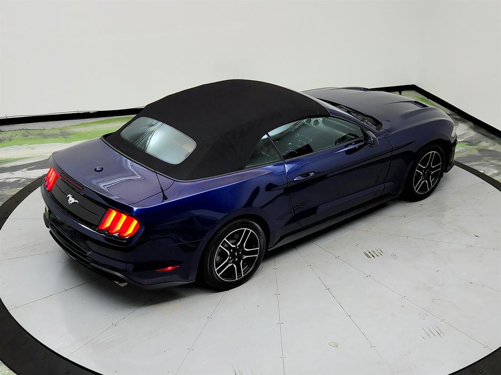 2020 Ford Mustang ECO Premium photo