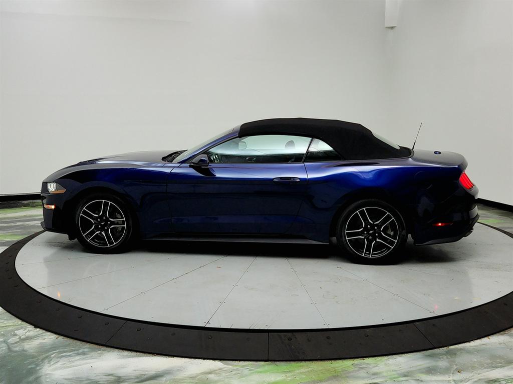 2020 Ford Mustang ECO Premium photo