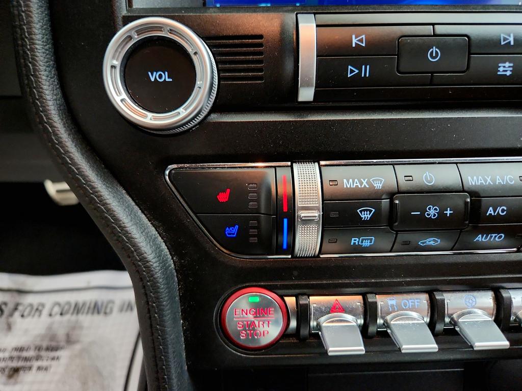2020 Ford Mustang ECO Premium photo