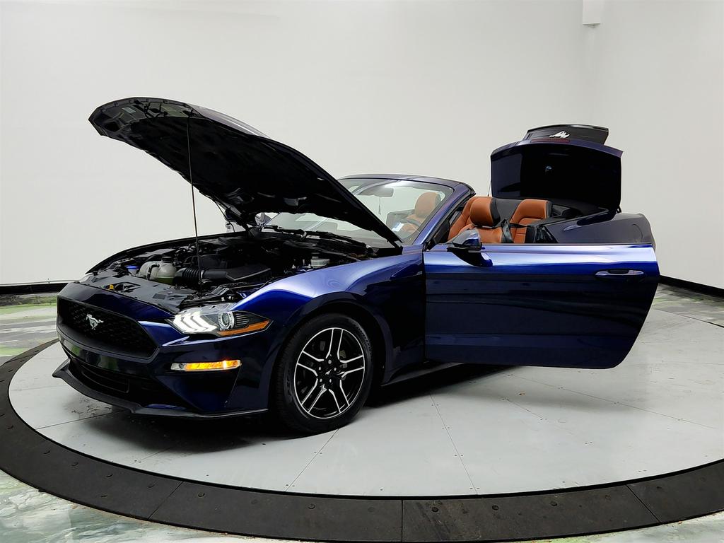 2020 Ford Mustang ECO Premium photo