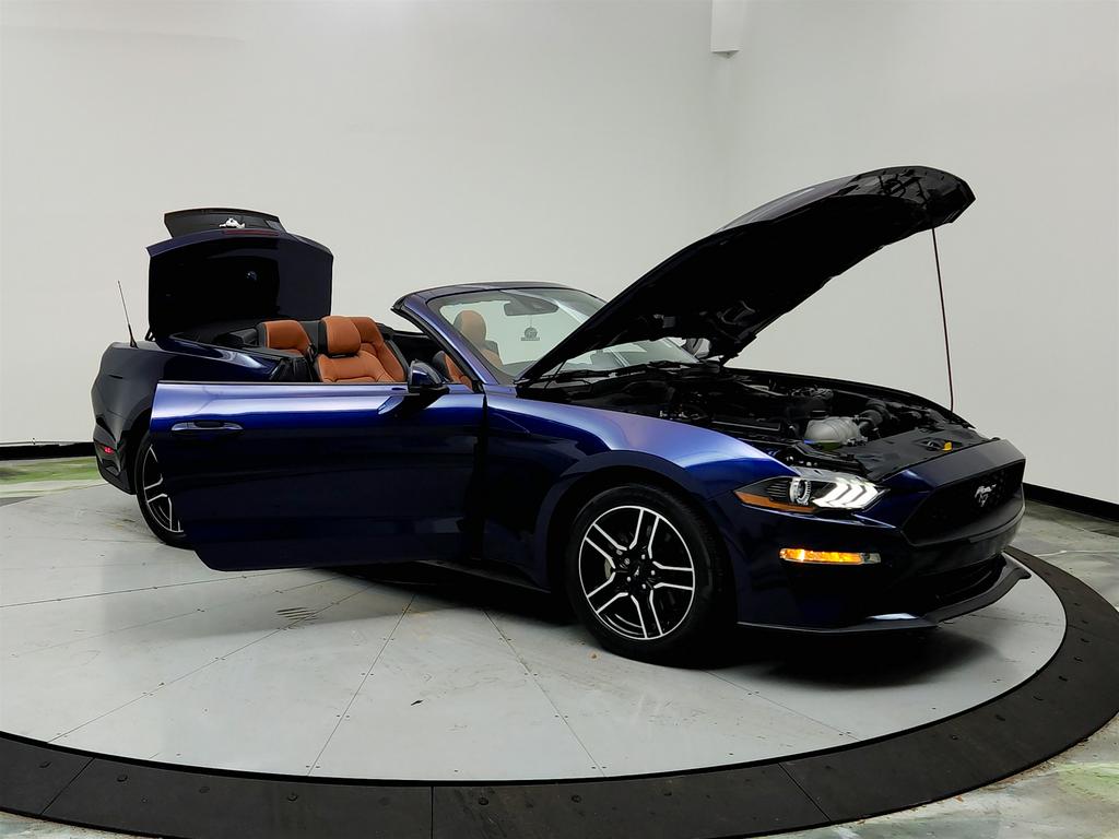 2020 Ford Mustang ECO Premium photo