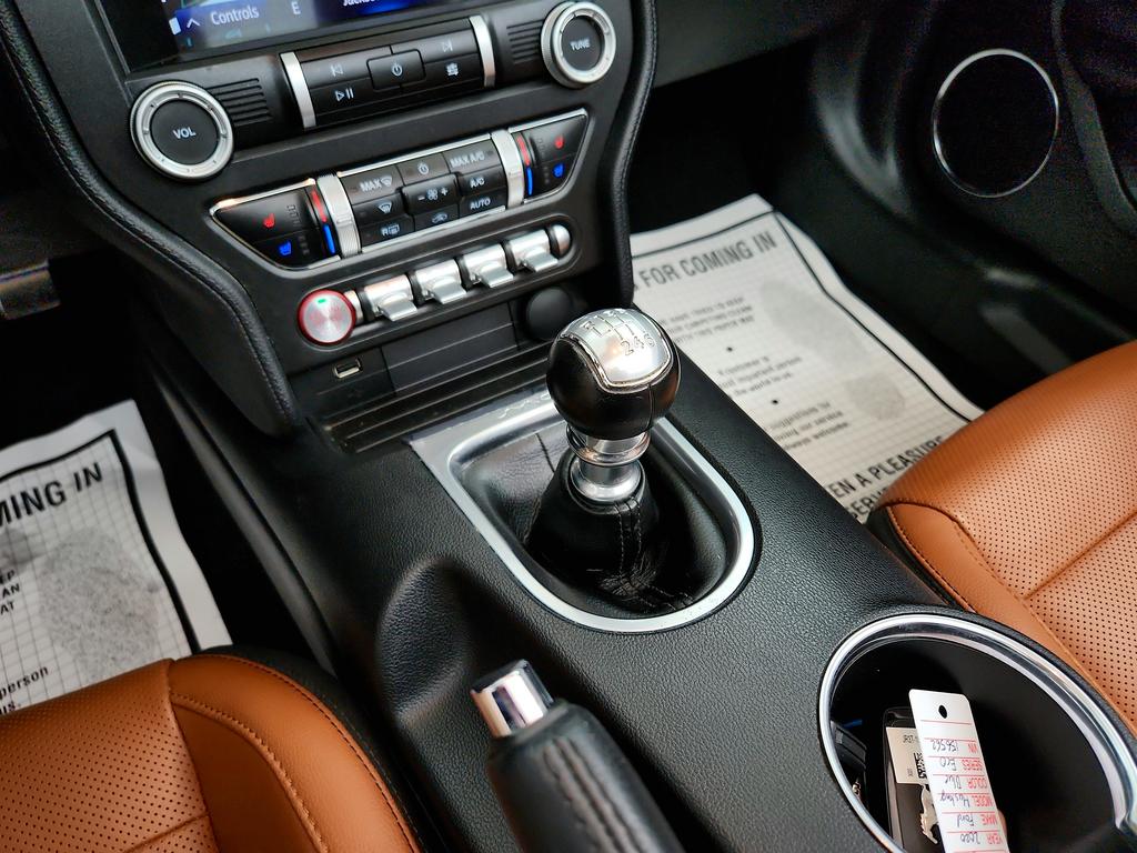 2020 Ford Mustang ECO Premium photo