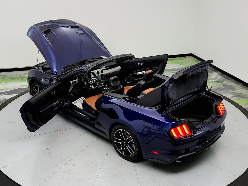 2020 Ford Mustang ECO Premium photo