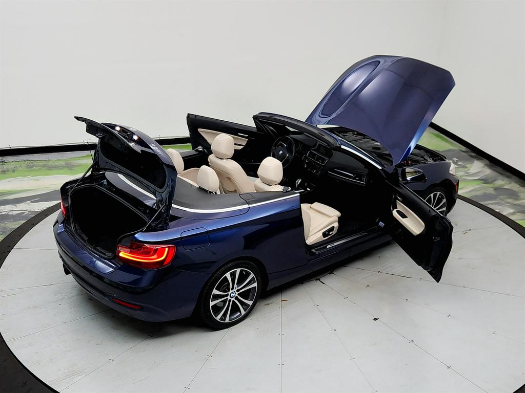 2017 BMW 230i - $14,295