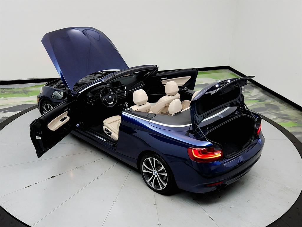 2017 BMW 230i - $14,295