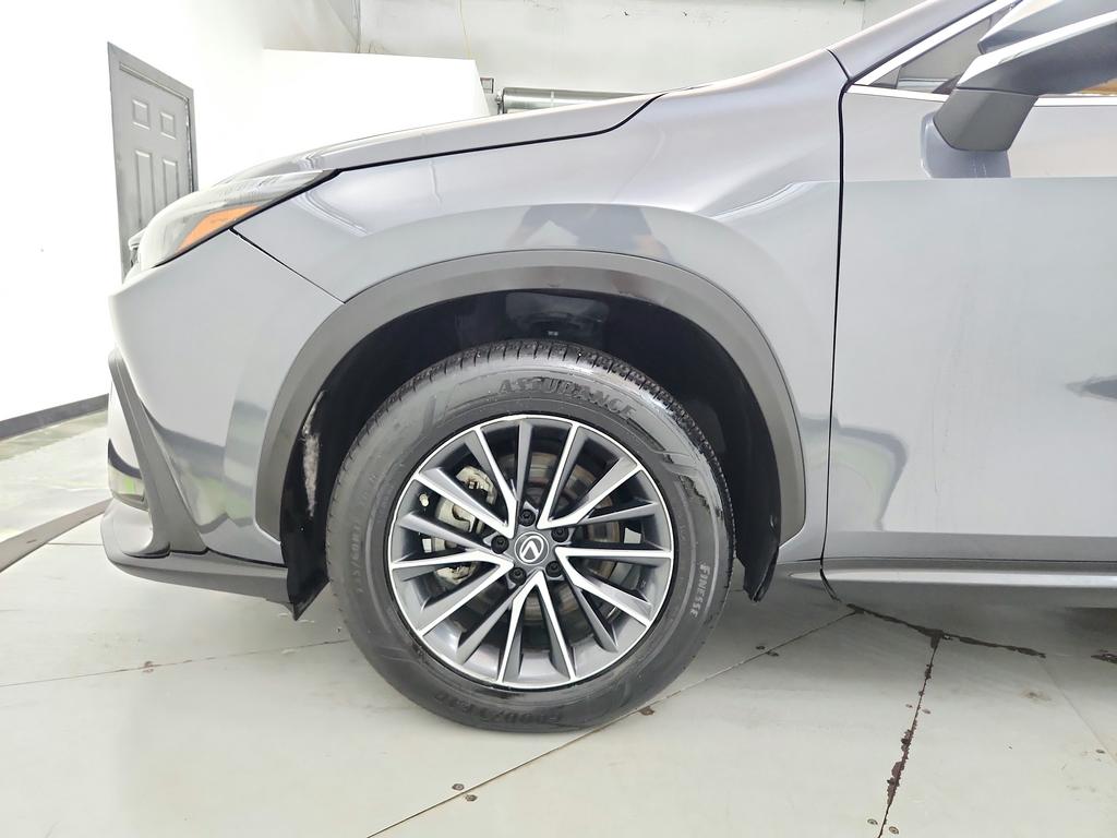 2023 Lexus NX - $31,950