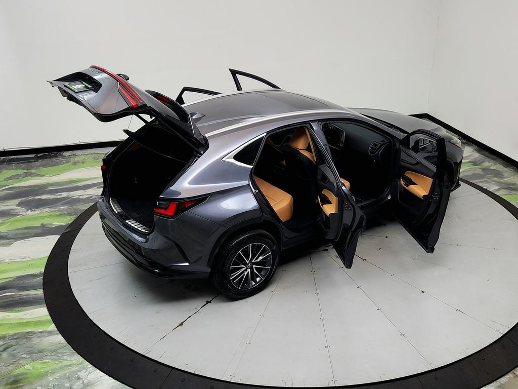 2023 Lexus NX - $31,950
