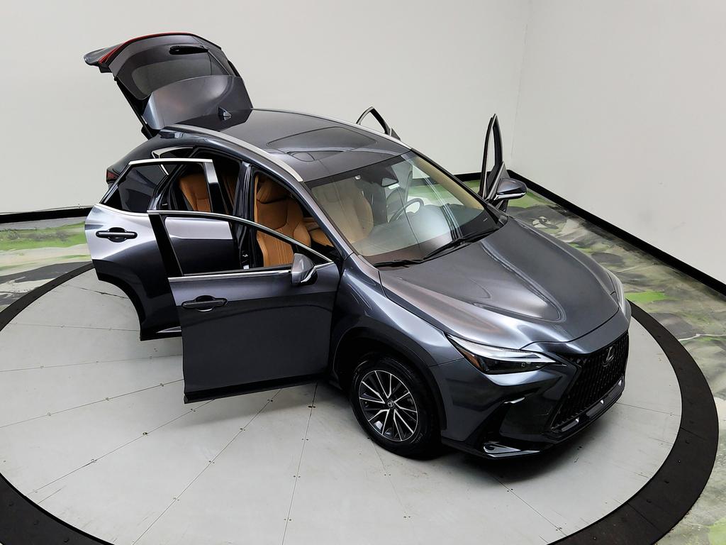 2023 Lexus NX - $31,950