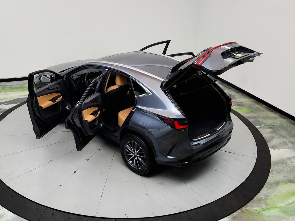 2023 Lexus NX - $31,950