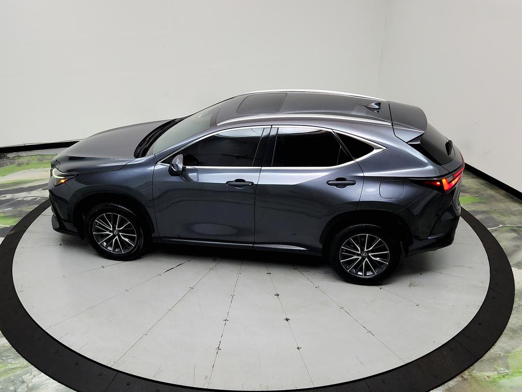2023 Lexus NX - $31,950