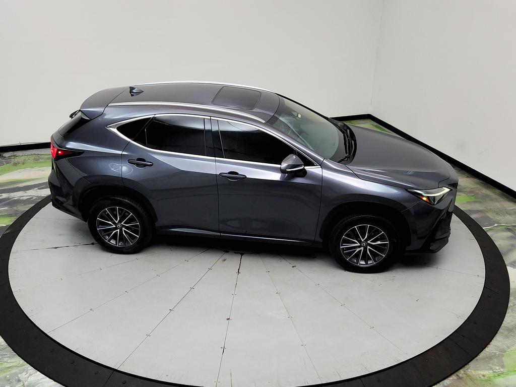 2023 Lexus NX - $31,950