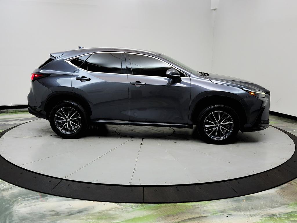 2023 Lexus NX - $31,950