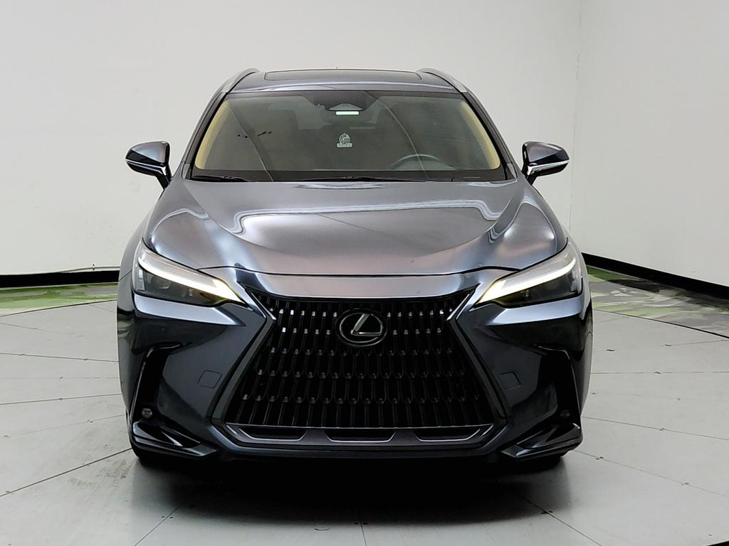 2023 Lexus NX - $31,950
