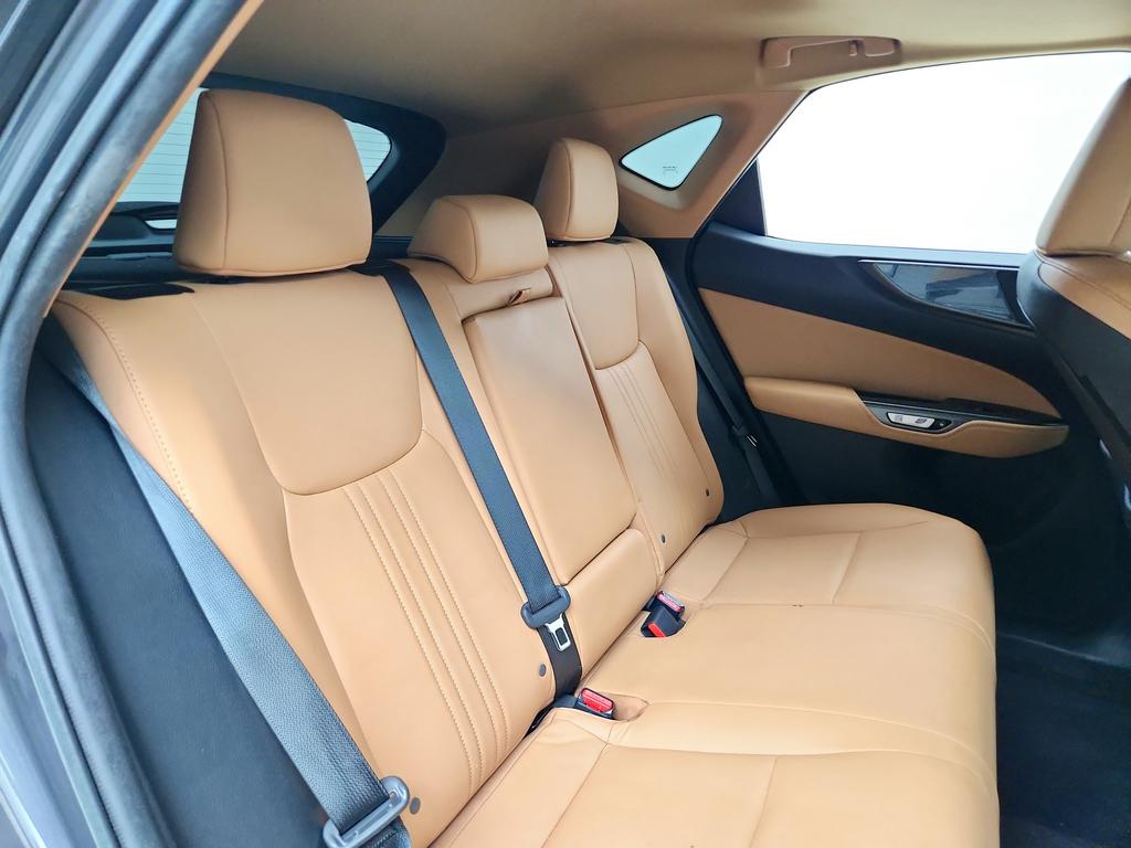 2023 Lexus NX - $31,950