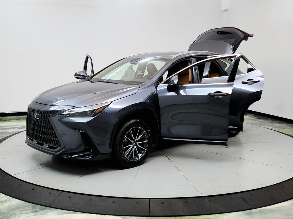 2023 Lexus NX - $31,950