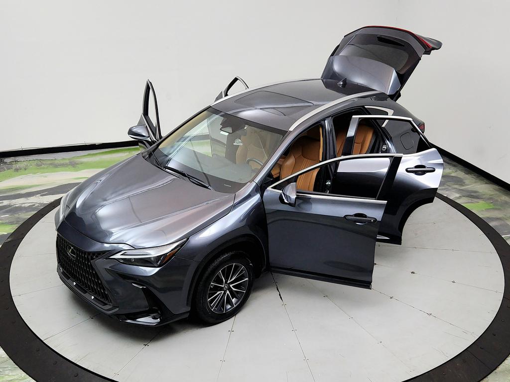 2023 Lexus NX - $31,950