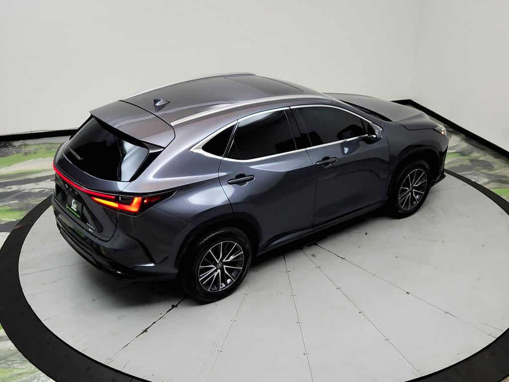2023 Lexus NX - $31,950