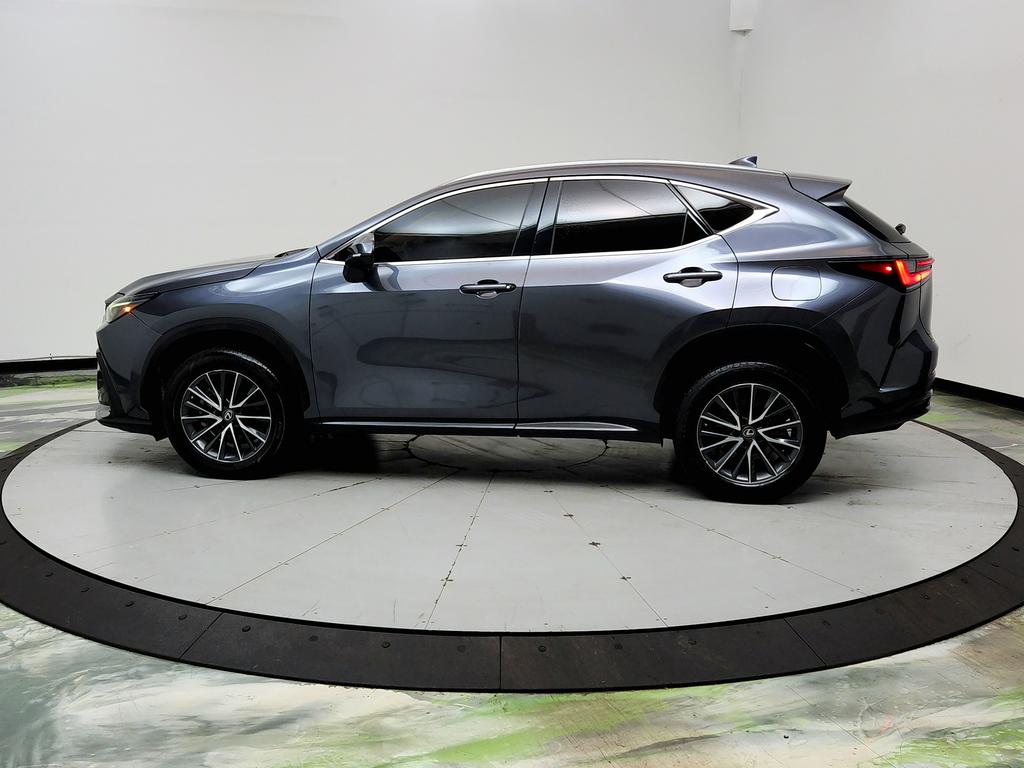 2023 Lexus NX - $31,950