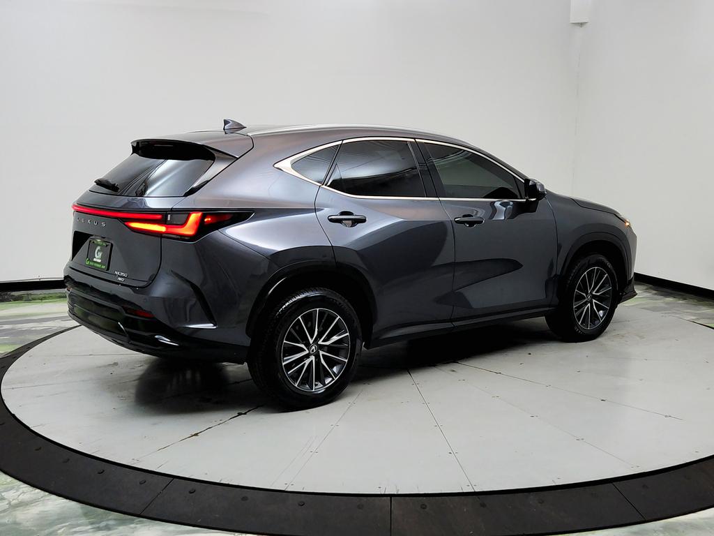 2023 Lexus NX - $31,950
