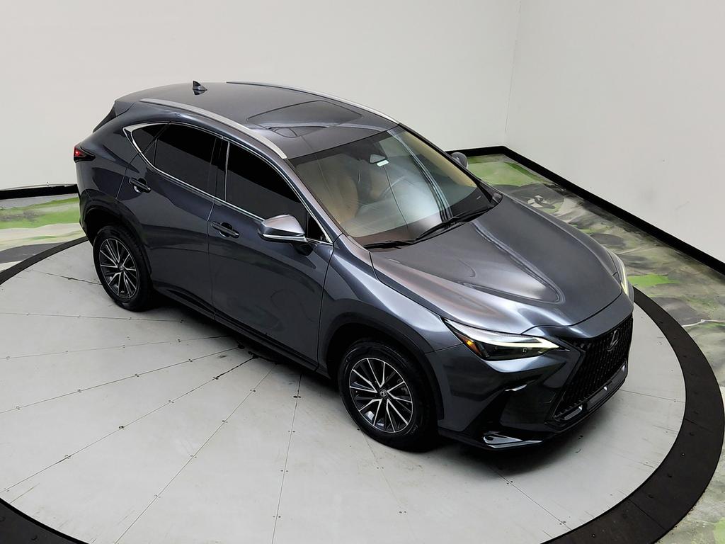 2023 Lexus NX - $31,950