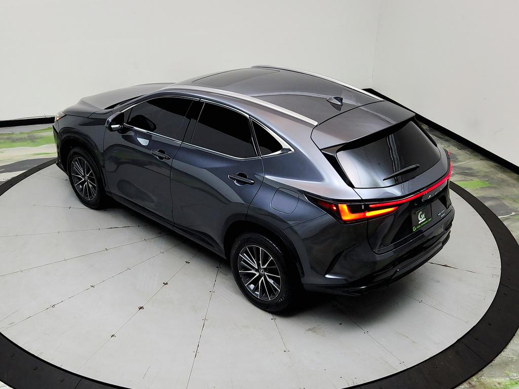 2023 Lexus NX - $31,950