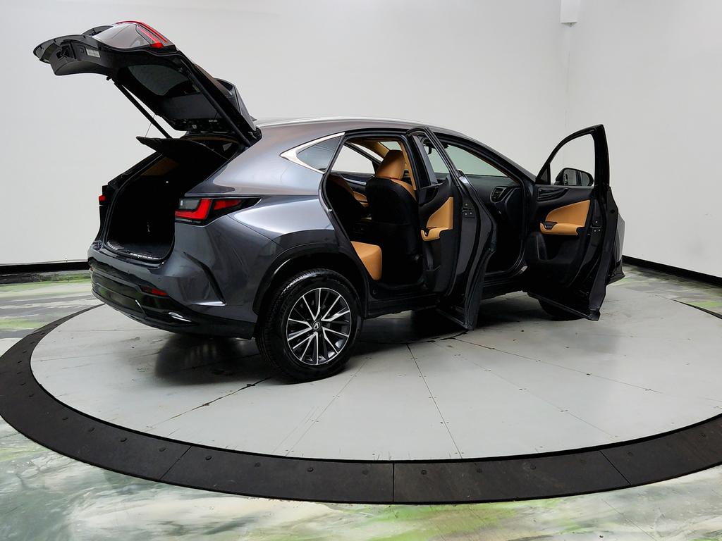 2023 Lexus NX - $31,950