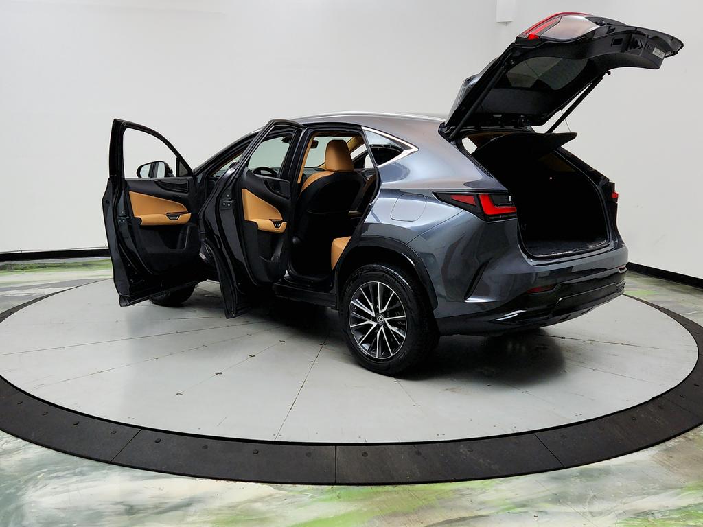 2023 Lexus NX - $31,950