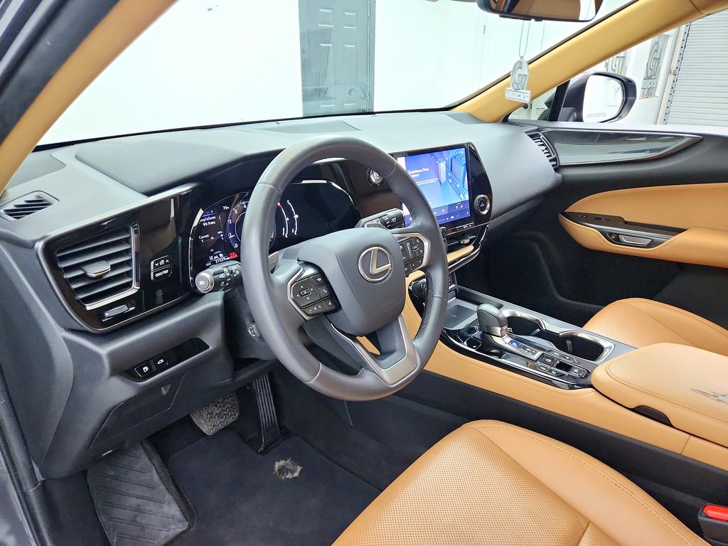 2023 Lexus NX - $31,950