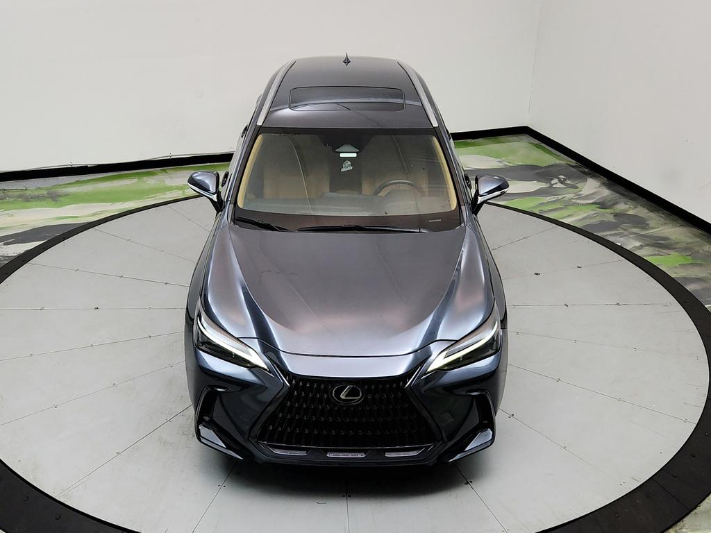 2023 Lexus NX - $31,950