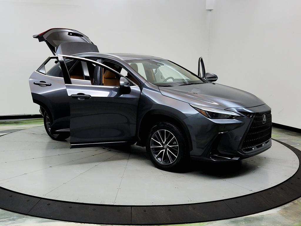 2023 Lexus NX - $31,950