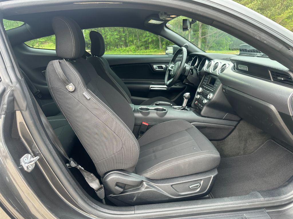 2018 Ford Mustang GT photo