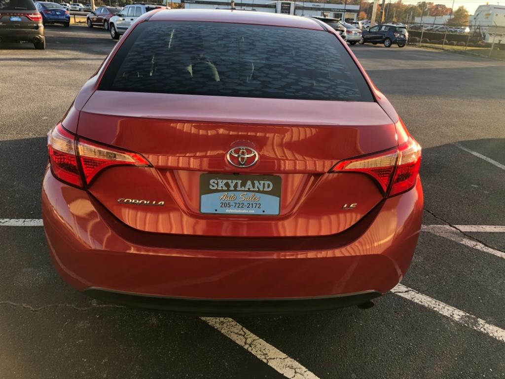 2019 Toyota Corolla LE photo