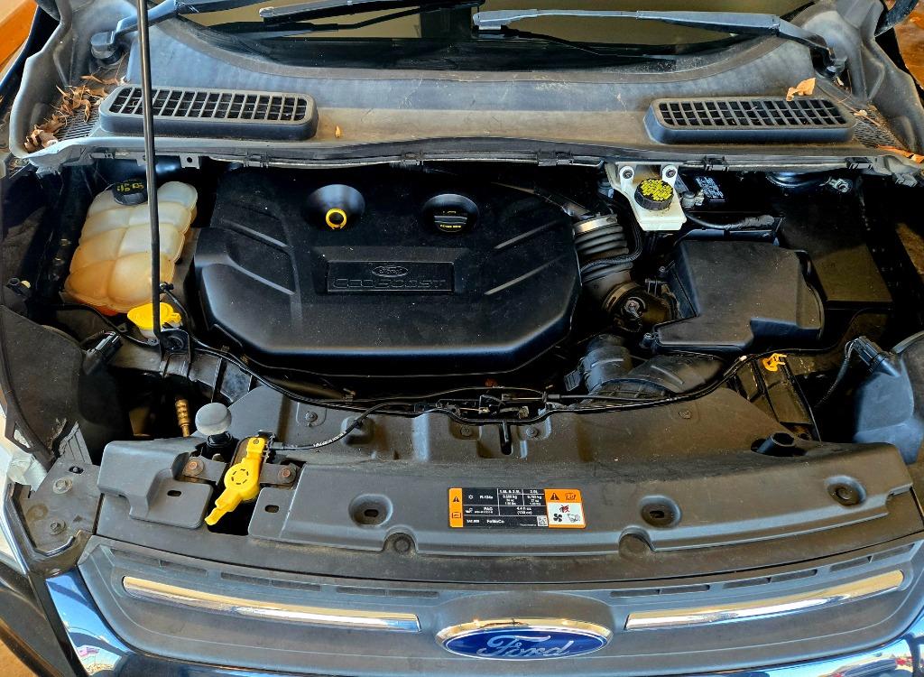 2016 Ford Escape SE photo