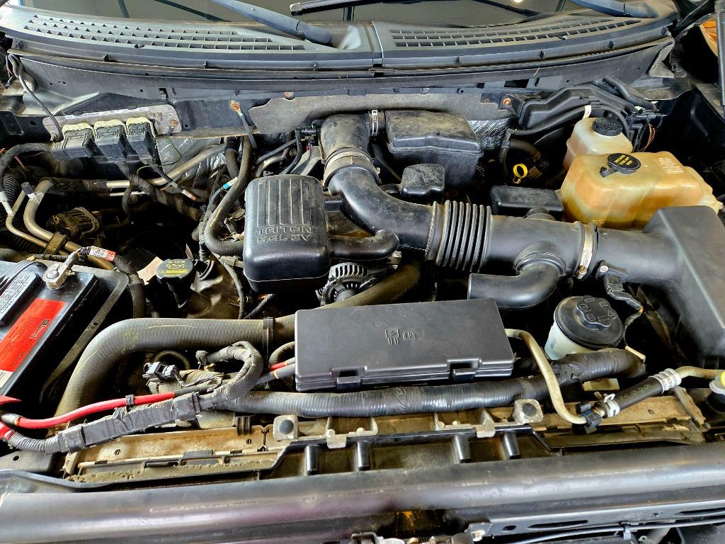 2010 Ford F-150 XL photo