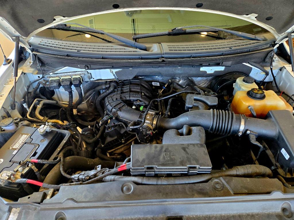 2013 Ford F-150 STX photo