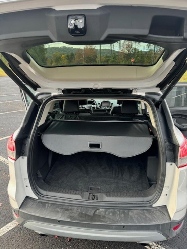 2014 Ford Escape Titanium photo