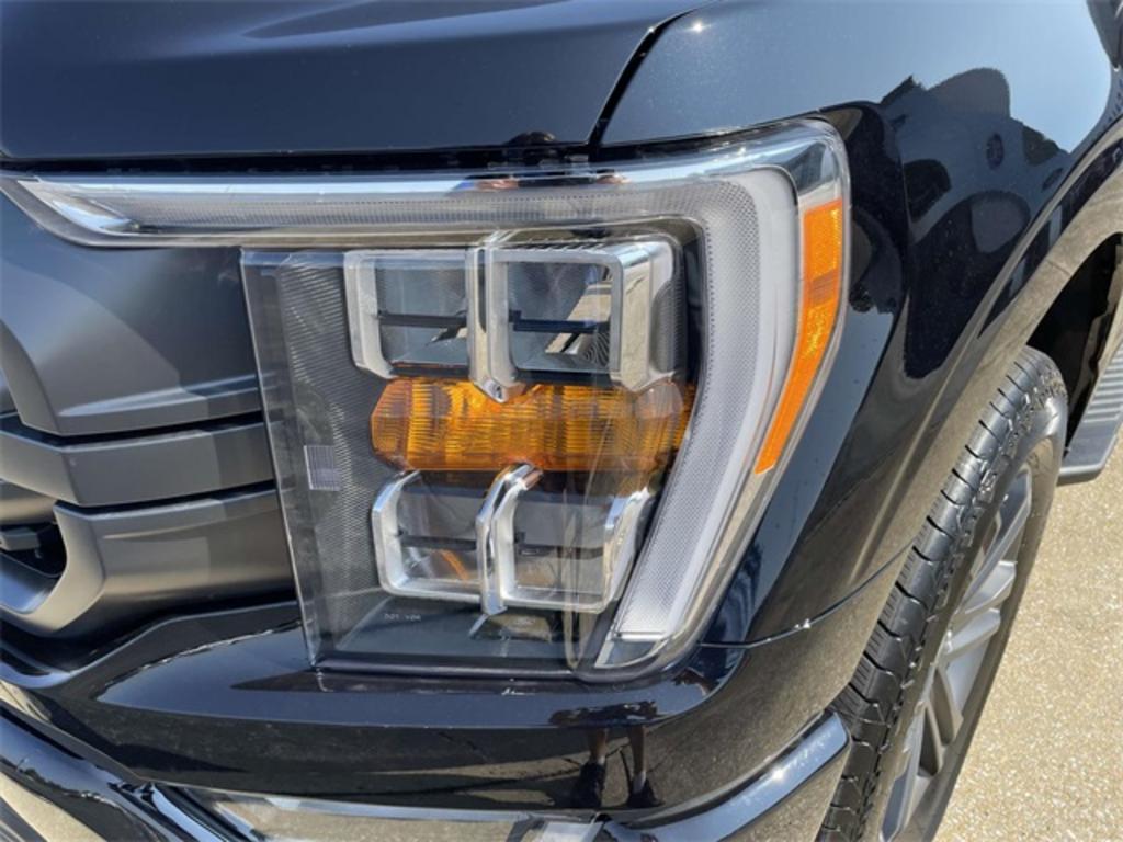 2023 Ford F-150 XLT photo