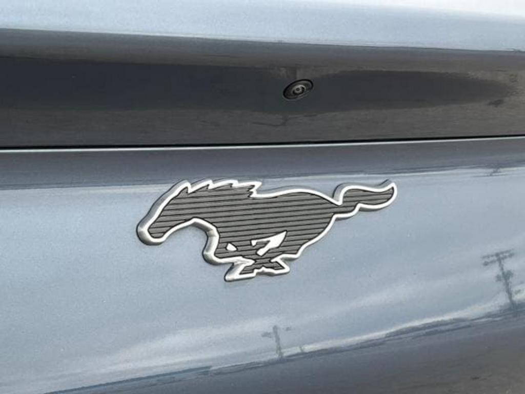 2021 Ford Mustang Mach-E Premium photo