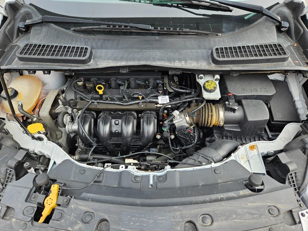 2019 Ford Escape - $13,000