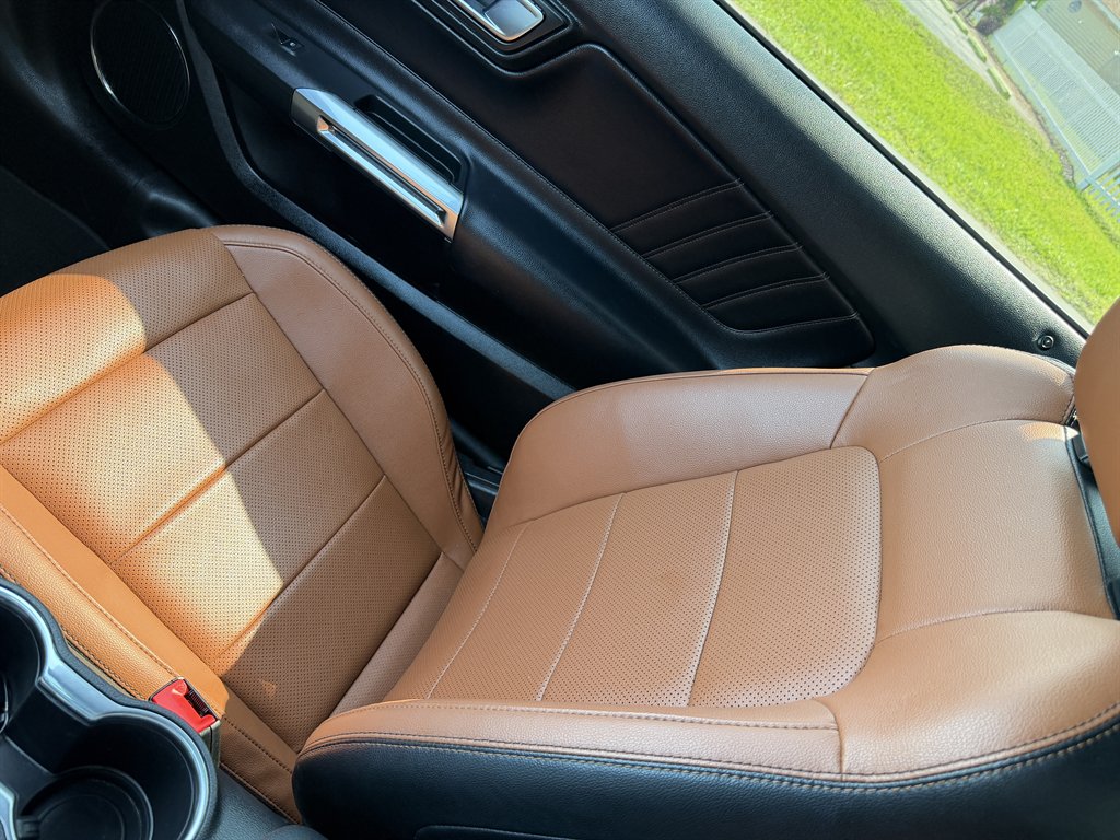 2021 Ford Mustang - $29,995