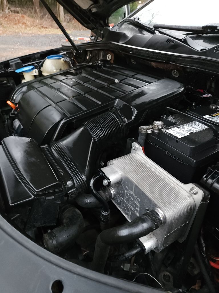 2007 Volkswagen Passat Value Edition photo