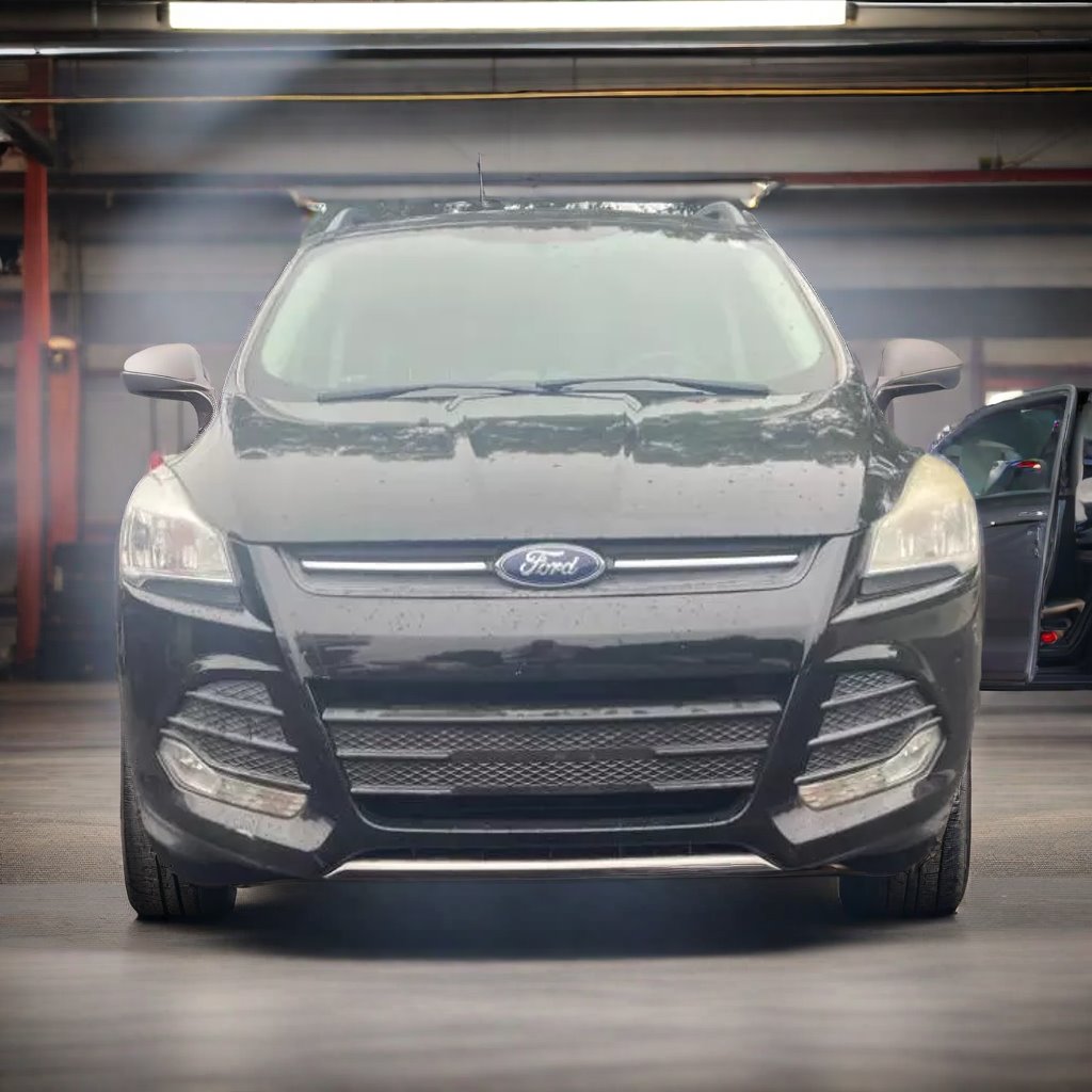 2014 Ford Escape SE photo